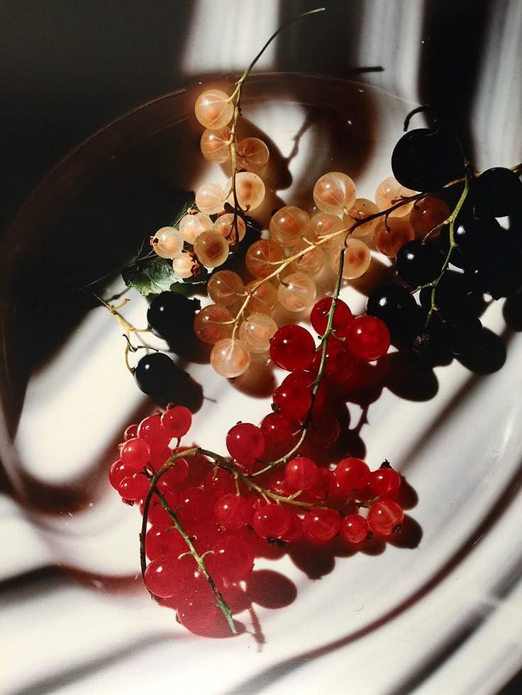 Berry Bounty: Fresh From the Farmer's Fields